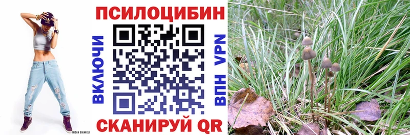 ссылка на мегу ССЫЛКА  Вышний Волочёк  Галлюциногенные грибы Cubensis 